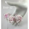20 Romantica Roses (2 or 5cm) White - Pink Bottom Splash