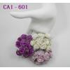 25 Mixed Purple Carnation 
