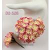 Small Variegated Cream Pink Daisy Flowers