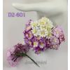 Small Mixed Purple White Daisy Flowers