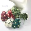 25 Mixed Christmas Color Paper Flowers