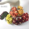 25 Mixed Dark Fall Tone Crafts Paper Flowers