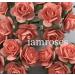  Salmon Red Handmade Mulberry Paper Flowers