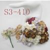 50 Mixed Brown Burgundy White Purple Color Cherry Blossoms