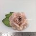 R50 - 122 (6 Pcs)     6 Soft Pale Pink Large Mulberry Paper Roses