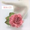 6 Creamy Pink Large Mulberry Paper Roses