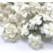   59 Mixed Sizes White with Leaves Wedding Paper Flowers