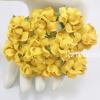 25 Yellow Paper Flowers