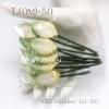 100 Medium Pale Green Edge on Soft Yellow Roses Leaves