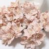 50 Pale Blush Pink Lily Paper Flowers