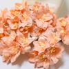 Solid Peach Lilly Paper Flowers