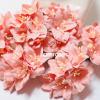 50 Creamy Pink Lily Paper Flowers