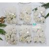6 DIY Kits White Special Mixed Sizes Pack Wedding Paper Flowers