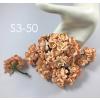 50 Peach Cherry Blossoms paper flowers