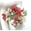 50 Special Hand Dyed Christmas Small Spring Cottage Paper Flowers