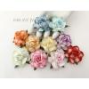 25 Large  2" or 5 cm - Mixed White 10 Rainbow Edge Variegated Tea Roses