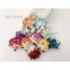 25 Large  2" or 5 cm - Mixed Half White Half 10 Rainbow Colors Tea Roses