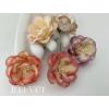 Mixed Mixed 5 Variegated Classic Color Paper Crafts Paper Flowers