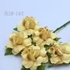 50 Small 1" Solid Cream May Roses 