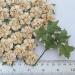 Beige Cream Mulberry Small May Roses Paper Flowers