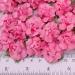  Pink Mulberry Small May Roses Paper Flowers