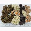150 Brown Cream Mixed flowers - Clearance SALE
