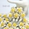 25 Large  2" or 5 cm - White - Soft Yellow Center Tea Roses