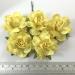 Solid SOFT Yellow Paper Roses Flowers