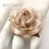 25  Large 2" White With Taupe Edge Roses