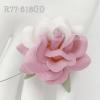 25 Large 2" Half White-Soft Pink Sweet Moon Roses