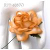 25 Large 2" White - Orange Edge Variegated Roses