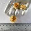 50 Size 1" White - Tangerine Edge Carnation 