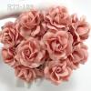 25 Large 2 Solid Punch Pink Sweet Moon Roses