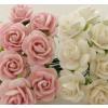 100 Mini 1/4" or 1cm Mixed JUST 2 Open Roses