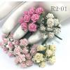 100 Mini 1/4" or 1cm Mixed 5 Open Roses (2/3/15/32/147)