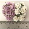 100 Arabian Jasmine (3/4" or 2cm) Mixed Soft Purple Flowers