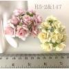 50 Indian Jasmine (1"or2.5cm) Mixed Soft Pink / Cream Flowers