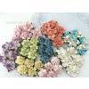 Special Mixed 2 Sizes May Roses Paper Flowers 