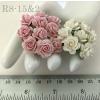 100 Size 5/8" or 1.5 cm Mixed JUST Soft Pink - White Open Roses