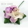 50 Small 1" Half White - Lilac Roses 