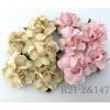 50 Medium May Roses (1-1/2"or3.75cm) Mixed Soft Pink - Cream Flowers