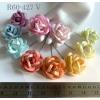 20 Romantica Roses (2 or 5 cm) Mixed White - 10 Rainbow EDGE 