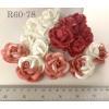 20 Romantica Roses (2 or 5 cm) Mixed Red Tone - White 