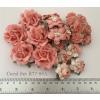  Coral Tone Mixed Carnation Roses Wedding Crafts Paper flowers