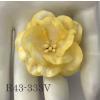 White with Yellow EDGE Variegated Peony Paper Flower