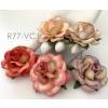 Mixed 5 Mixed 5 Variegated Classic Color Paper Roses