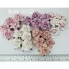  25 Mixed 5 Color Pink /Lilac / White Paper Roses Crafts (42/2/188/122/15)