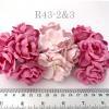 25 Mixed JUST Soft Pink / Pink Paper Roses