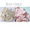 25 Mixed JUST WHITE / Soft Pink Paper Roses