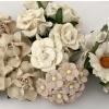 25 Mixed 4 designs Beige Blush White flowers 
